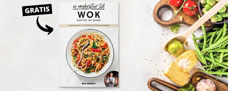 wok-professionel